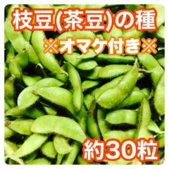 Zen様 リクエスト 3点 まとめ商品