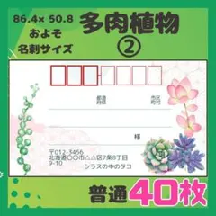 【多肉植物②】40枚　宛名シール　ラベル　差出人　普通サイズ