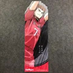 早い者勝ち！！ハイキュー‼︎ブックマークコレクション犬岡走！！