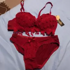 赤色ブラジャーショーツセット 38/85