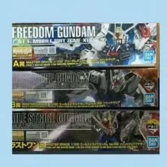 MG A賞 B賞&ラストワン賞フリーダムGUNDAM Ver.2.0 3点セットのサムネイル