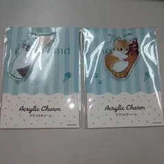 mofusand モフサンド アクリルチャーム 2種セット ファミリーマート