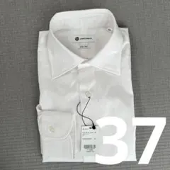 カミチャニスタ