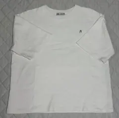 ZARA ワンポイントロゴTシャツ