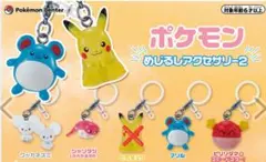 ポケモンセンター限定 めじるしアクセサリー2 4種セット