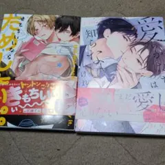 BL漫画 2冊セット 灰縁てふ ほか