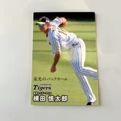 2025年最新】横田慎太郎の人気アイテム - メルカリ