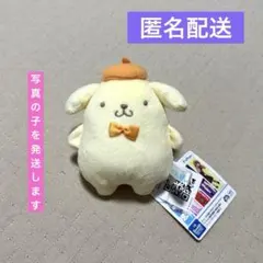 ポムポムプリン カラフルリンクコーデ くりっぴぃ ぬいぐるみ 全種