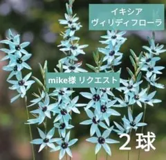 mike様 リクエスト 4点 まとめ商品