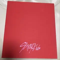 Stray Kids／D'FESTA（写真集+Blu-ray)（新品未使用品）