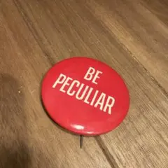 US仕入れ　ヴィンテージ　缶バッジ　アドバタイジングポリティカル　アメリカ260