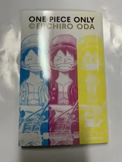 非売品】 ONE PIECE ONLY展 入場者特典 公式展覧会図録 - メルカリ