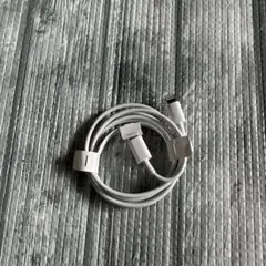 新品！Apple ライトニングケーブル Lightning Type-C 純正品