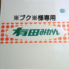 ※ブク※様専用 訳あり木塾由良早生 S〜2L 3.0キロ 28-17