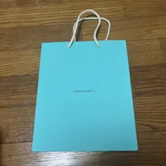 Tiffany & Co. ショッパー　ティファニーブルー　即購入可