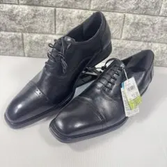 Item thumbnail for item 0d15d022-edde-4d47-b91f-4d3f9b4ff4aa