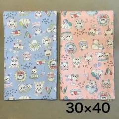 Item thumbnail for item 96c51006-ec80-4a48-8e94-26dc04f740da