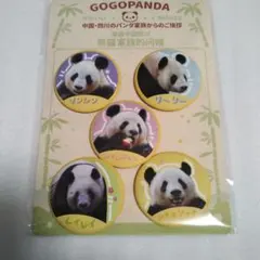 Item thumbnail for item 788d3770-a494-475e-82f8-01de568dea8a