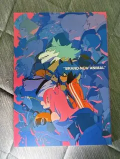 吉成曜監督描き下ろし 複製サイン入り特製キャンバスアート Amazon.co.jp: リトルウィッチアカデミア 初回生産限定版 amazon