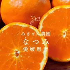 濃厚ジューシー✨愛媛県西宇和産　なつみ4キロ　家庭用　カラマンダリン