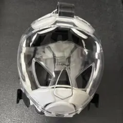 Item thumbnail for item d5a84141-821d-4915-bc5c-4d3e10250921