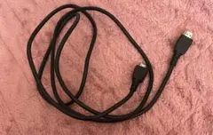 Item thumbnail for item 424217c8-40b1-4415-8f89-5874404c7b25