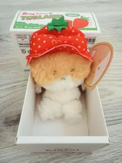 exoベッキョン TEOLAEGI イチゴ帽子 ぬいぐるみ
