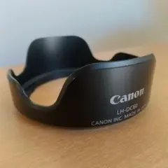 Item thumbnail for item b65fcdc7-16a1-40c1-8237-a45036e2be9c