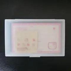 平成レトロ 当時もの ハローキティ ケース 1999年 イチゴキティ 野