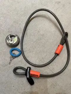 Item thumbnail for item a0ff4a5b-6e39-4ddb-afb6-8d28c40ddcf8