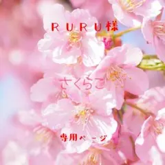 RURU様 リクエスト 3点 まとめ商品