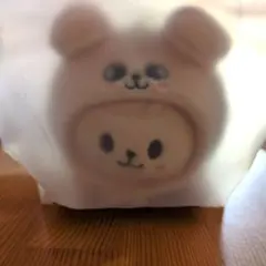 SKZOO celebrATE KEYRINGLYING パピーム puppyM