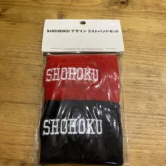 Item thumbnail for item 61211f5e-3ec1-474a-bfc5-65b1510c2dc8