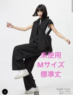 Item thumbnail for item 6ffd5872-8127-45f6-a3fc-06868ee041fb