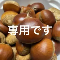 RED様専用です　生栗　3L+2L