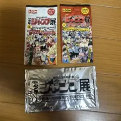 週刊少年ジャンプ展 限定 オールスターカードコレクション VOL.3 未