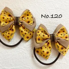 ロゼッタ姫様 リクエスト 2点 まとめ商品