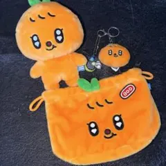 コ*コ様 seventeen スングァン miniteen グッズまとめ売り