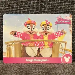 匿名配送⭐︎ミニーのファンダーランド コレクションカード　チップ・デール