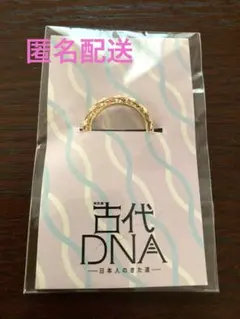 Item thumbnail for item 27c95918-4781-43fb-a605-e58beda092c9