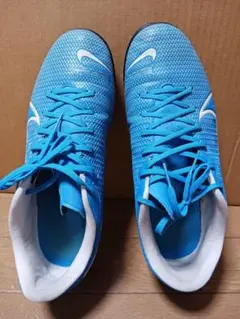 Item thumbnail for item 0e17d1f9-adc6-4bda-ba52-dd3aaff0125e