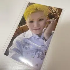 seventeen face the sun ウジ ウアヘ ユニバ特典トレカ