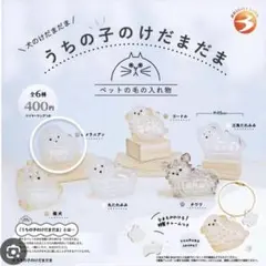 うちの子のけだまだま　犬　ポメラニアン