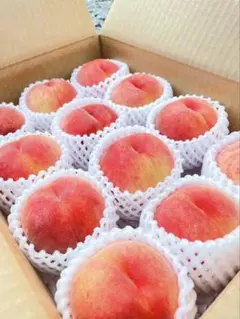 早朝採りたて❗️山形県産　桃　あかつき　3キロ箱のサムネイル