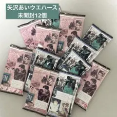 【新品未開封】矢沢あい　ツインウエハース　12点セット　NANA