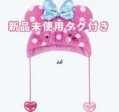 ディズニー パルパルーザ ミニーのファンダーランド ファンキャップ