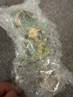 GEMSTONE COLLECTION 光り輝くしんぴのキセキ リーフィア