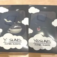 イェソン YESUNG 咲き誇る時を待つのは ぬいぐるみキーホルダー 4点