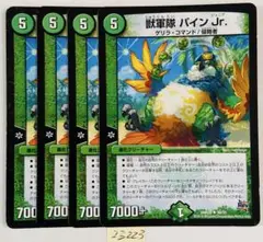 パインJr. 4枚