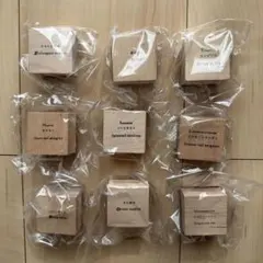 Item thumbnail for item 70bd33b2-fbe3-4a95-aca2-937442b1a941